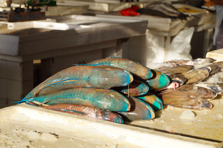 Deira Fischmarkt Dubai